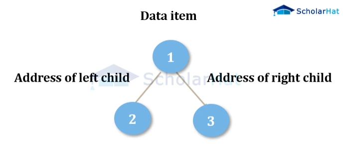 Binary Tree Representation in Data Structures